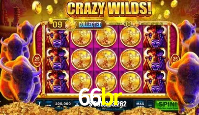 Ofertas Exclusivas 66br