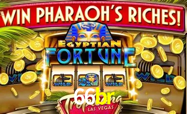 Tecnologia da Plataforma 66br